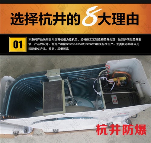 冷庫房防爆空調(diào)機案例圖