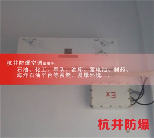 甘肅油漆庫防爆空調(diào)防爆窗花機(jī)案例圖