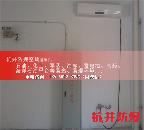 化學(xué)品倉(cāng)庫(kù)防爆空調(diào)機(jī)案例圖